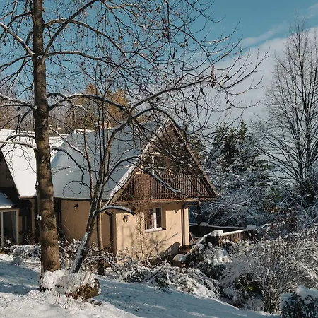 Dom Na Jezynowym Wzgorzu - Blackberry Hill Vila Radziechowy