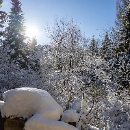 Dom Na Jezynowym Wzgorzu - Blackberry Hill Villa *