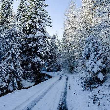 Dom Na Jezynowym Wzgorzu - Blackberry Hill