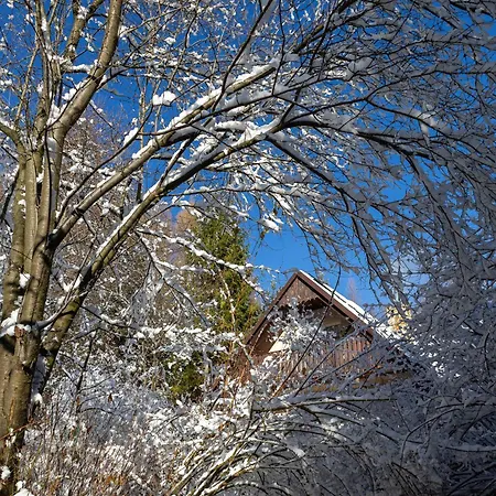 Dom Na Jezynowym Wzgorzu - Blackberry Hill *