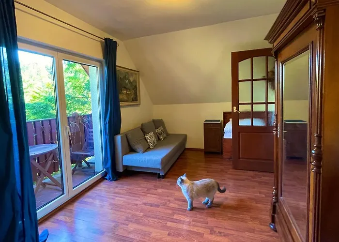 Villa Dom Na Jezynowym Wzgorzu - Blackberry Hill Radziechowy