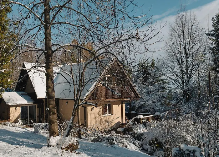 Dom Na Jezynowym Wzgorzu - Blackberry Hill Vila Radziechowy