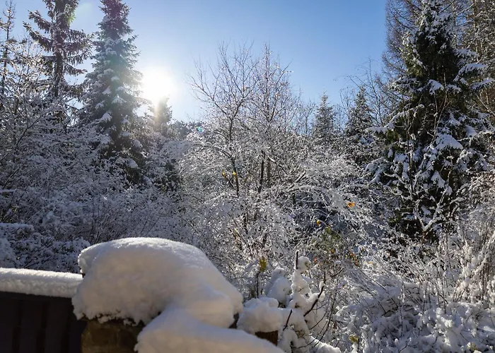 Dom Na Jezynowym Wzgorzu - Blackberry Hill Villa *