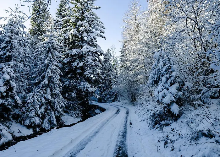 Dom Na Jezynowym Wzgorzu - Blackberry Hill