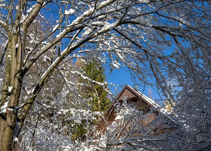 Dom Na Jezynowym Wzgorzu - Blackberry Hill *